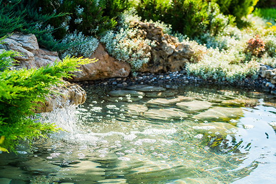 1603955133331426.jpg 池塘.jpg